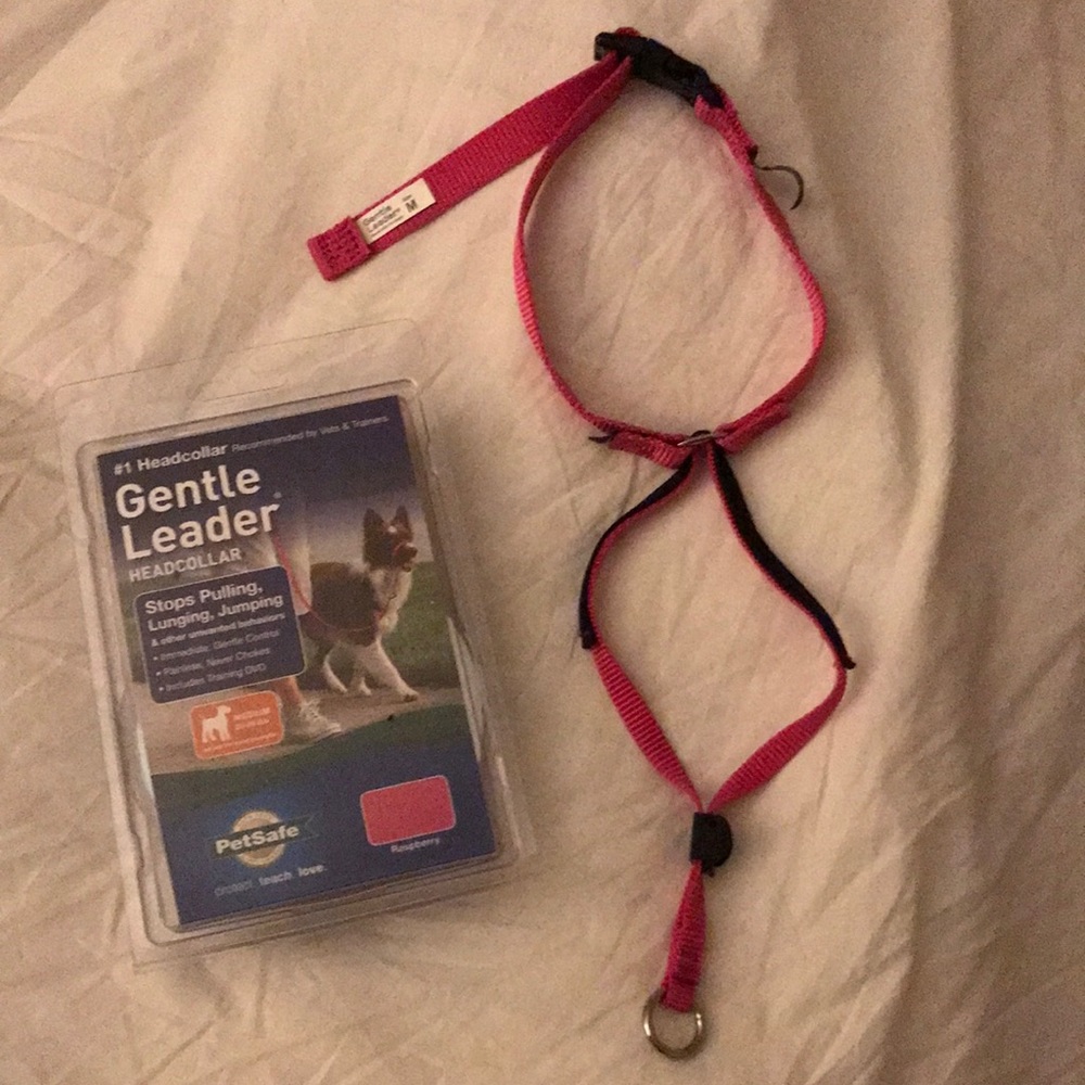 PetSafe Gentle Leader with DVD